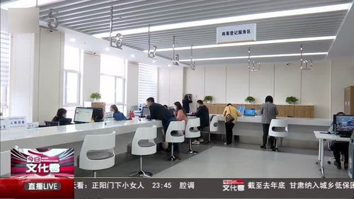构建药品互联网信息服务与监管政务服务新模式