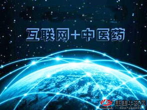 融合创新，智慧赋能 推动中医药健康服务与互联网信息服务的深度融合发展